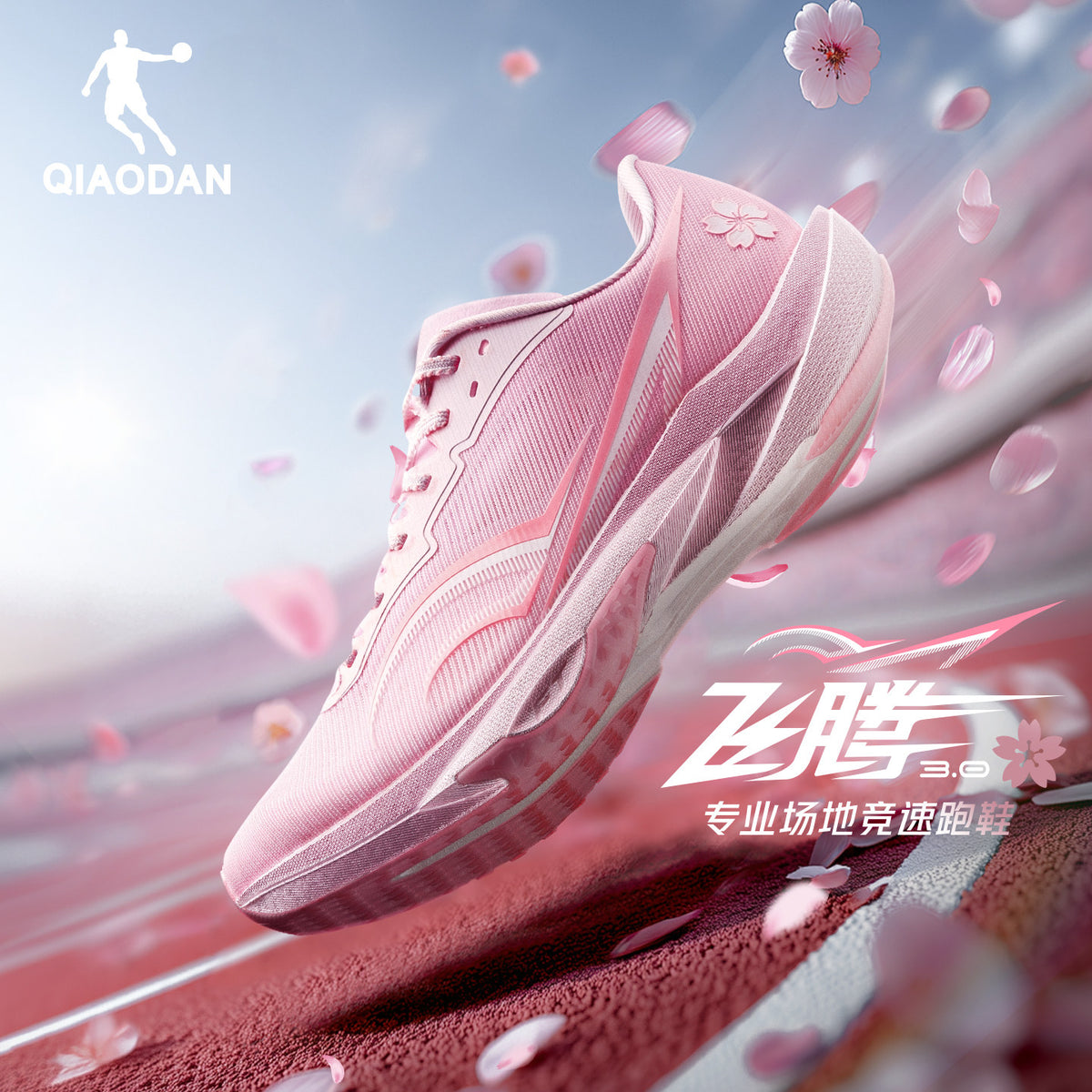 Qiaodan Feiteng 3