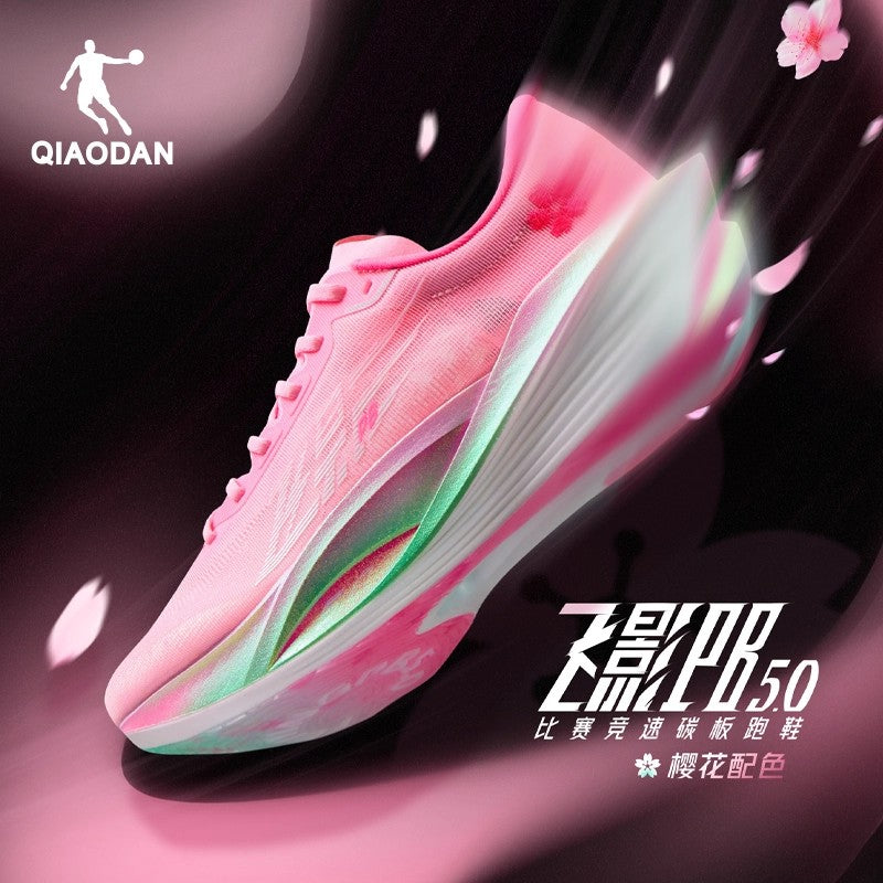 Qiaodan Feiying PB 5.0